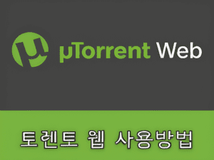 토렌트 웹 소개